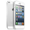 Apple iPhone 5 64Gb white - Острогожск